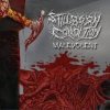 Stillborn Condition - Born of Bile