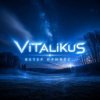 ViTaLiKuS - Ветер принёс...