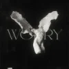 Portada LONOWN & riserayss - worry (Slowed) LONOWN & riserayss - worry (Slowed)