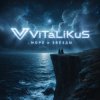 ViTaLiKuS - Море и звёзды