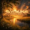 ViTaLiKuS - Родина моя