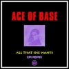 Ace of Base - All That She Wants (XM Remix)