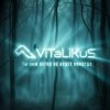 Portada ViTaLiKuS - Нам легко не будет никогда ViTaLiKuS - Нам легко не будет никогда
