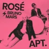 Portada ROSÉ & Bruno Mars - APT (DJ XAN Remix) ROSÉ & Bruno Mars - APT (DJ XAN Remix)