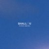 Shallou & Villows - Let Go (Villows Remix)