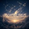 ViTaLiKuS - Что делаешь, мой друг...