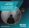 DJ VANTIGO - Dark Forest