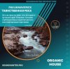Portada PavlikMaverick - Таинственная река PavlikMaverick - Таинственная река