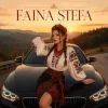 Faina Stefa - Крути мене у тачці!