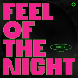Portada Borey - Feel Of The Night