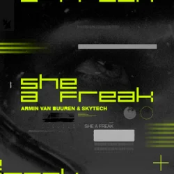 Portada Armin van Buuren & Skytech - She A Freak