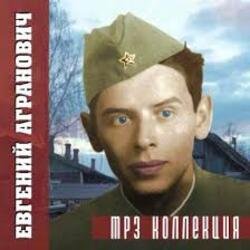 Portada Евгений Агранович - Офицеры