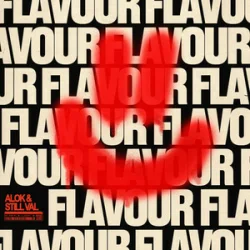 Portada Alok & Still Val - Flavour