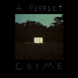 Portada Kovacs - A Perfect Crime