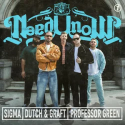 Portada Sigma & Dutch & Graft & Professor Green - NEED U NOW