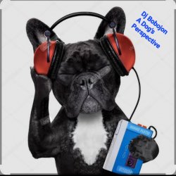 Portada Dj Bobojon - A Dog's Perspective