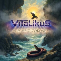 Portada ViTaLiKuS - Песня о Соколе