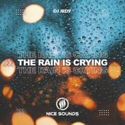 Portada DJ JEDY - The Rain Is Crying