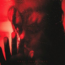 Portada Lounatic - Feel your love