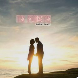 Portada DNDM & Davvi - Te Fuiste