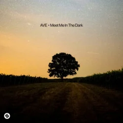Portada AVE - Meet Me In The Dark