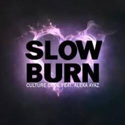 Portada NEIMXX - Slow Burn
