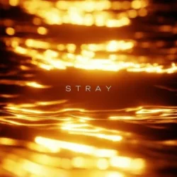 Portada R3DN1K - Stray