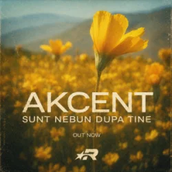 Portada Akcent - Sunt nebun dupa tine