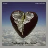 DVBBS & Nelly Furtado - Torture Of The Heart
