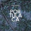 Portada Colleoni - Sinonimi E Contrari Colleoni - Sinonimi E Contrari