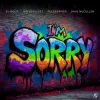 Portada DJ Wout x Jan Vervloet x Pulsedriver - I'm Sorry DJ Wout x Jan Vervloet x Pulsedriver - I'm Sorry