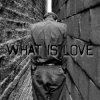 Portada der Flaum - What is love der Flaum - What is love