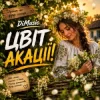 DiMusic - Цвіт акації!
