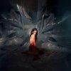 Portada Noémi Büchi - The cryptic precision Noémi Büchi - The cryptic precision