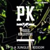 Pisces Kollective, Alev - Little China (Original Mix)