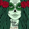 Portada Shiny Radio - Read My Lips (Original Mix) Shiny Radio - Read My Lips (Original Mix)