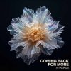 Portada ViTaLiKuS - Coming Back for More ViTaLiKuS - Coming Back for More