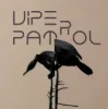 Portada Viper Patrol - What Is (Original Mix) Viper Patrol - What Is (Original Mix)