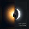 ViTaLiKuS - Чудское (Chudskoye) (Original Chill Mix)