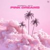 Portada Drumball, SKY5 - Pink Dreams Drumball, SKY5 - Pink Dreams