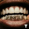 Portada TroyBoi & Shiwa - Jungle TroyBoi & Shiwa - Jungle