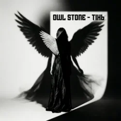 Portada Owl Stone - Тінь