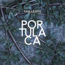 Portada Colleoni - Senza Primavera