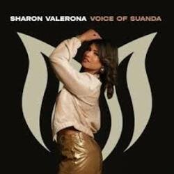Portada Aurosonic & Sharon Valerona - Horizon (Extended Mix)