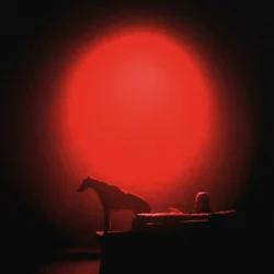 Portada Grubson - HUSKY I CHART