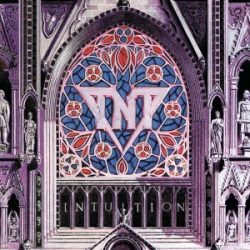 Portada TNT Records - When Angels Fall