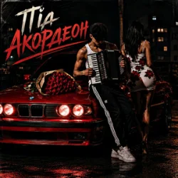 Portada ZVUCAR & Kamelii Merlina - Під Акордеон