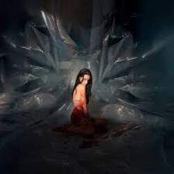 Portada Noémi Büchi - The cryptic precision