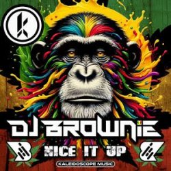 Portada DJ Brownie - Nice It Up