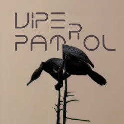 Portada Viper Patrol - What Is (Original Mix)